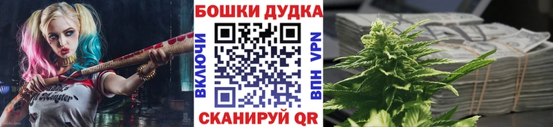 Псилоцибиновые грибы Междуреченск