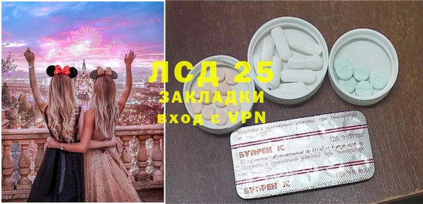 PSILOCYBIN Беломорск