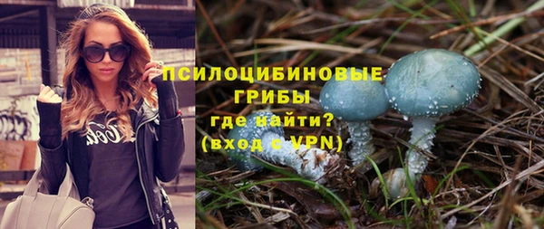 PSILOCYBIN Беломорск