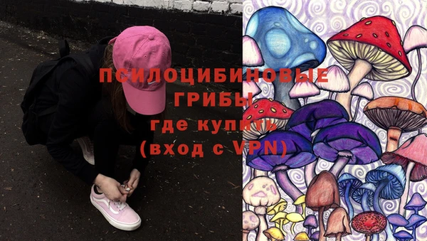 гашик Белокуриха