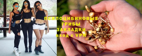 гашик Белокуриха