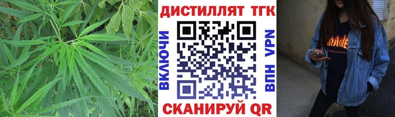 Дистиллят ТГК концентрат  Купить где  Междуреченск 